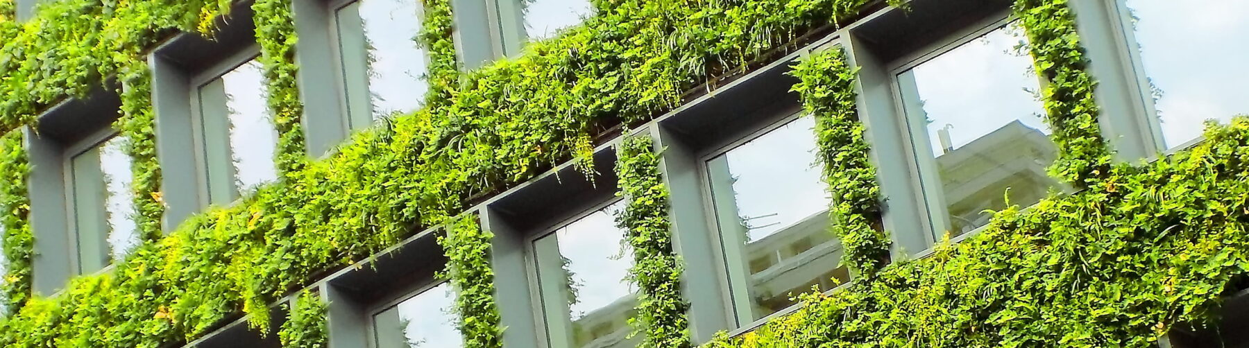 A building with facade greening