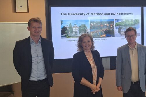 Prof Merta, Prof Kravanja and Assistant Prof. Kravanja in Front of Screen