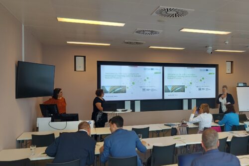 presentation in front of sitting people